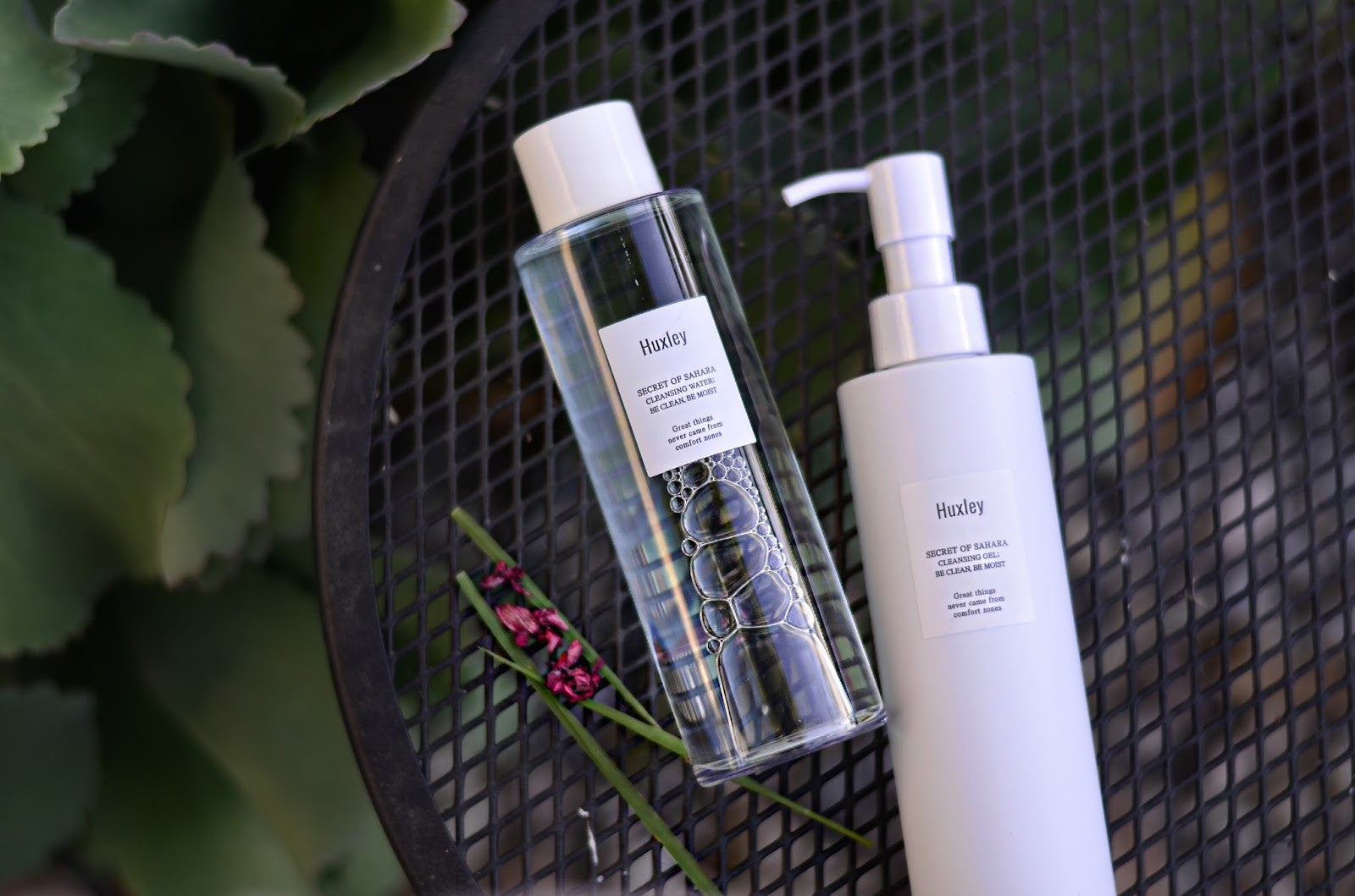 Two bottles of Huxley skincare products on a black metal table outdoors with green plants in the background.