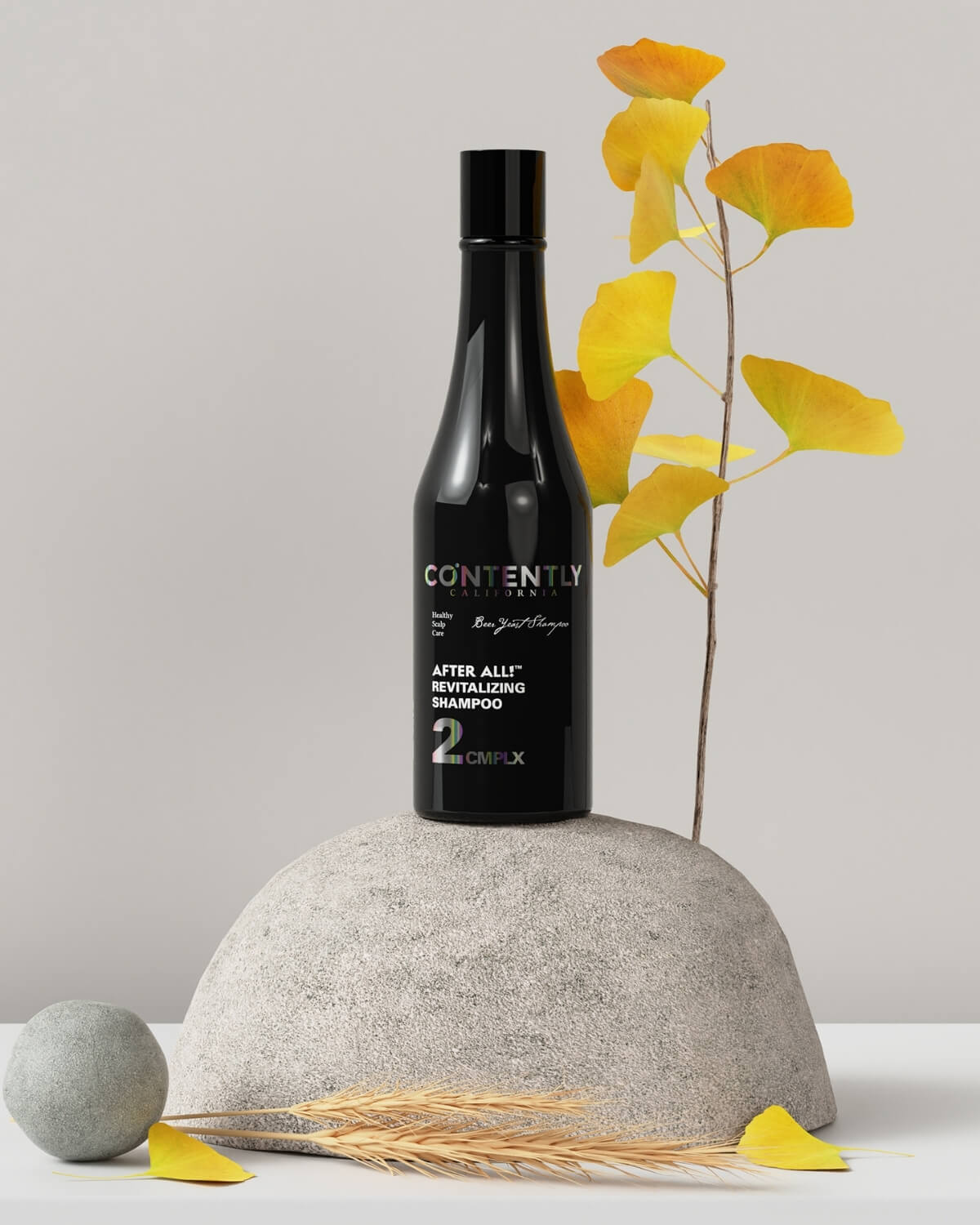 The Revitalizing Shampoo bottle sits atop a large, round gray rock, decorated with yellow ginkgo leaves and a sprig of ginkgo.
