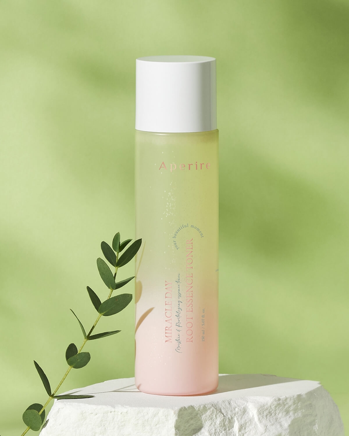 The full toner bottle stands upright on a large, smooth white stone, with a sprig of greenery resting on the stone nearby, against a pale gray background.