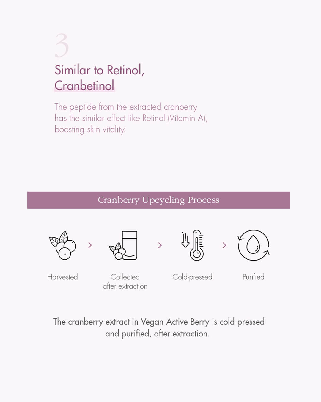 Ohlolly K-Beauty Skincare_Dr Ceuracle_Vegan Active Berry First Essence