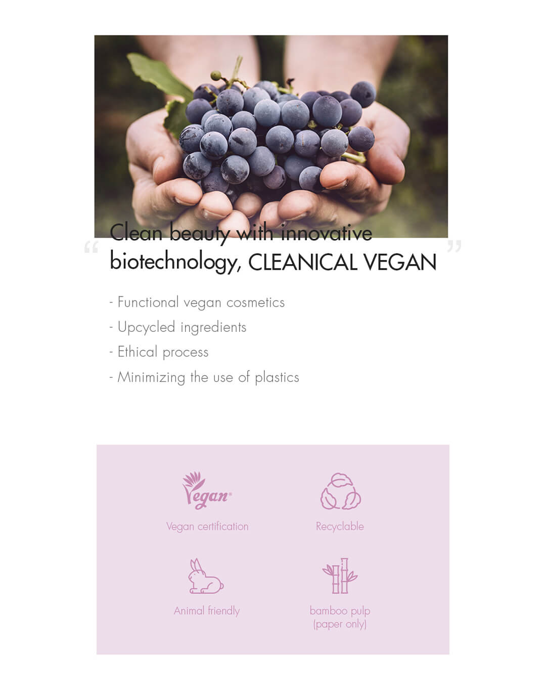 Ohlolly K-Beauty Skincare_Dr Ceuracle_Vegan Active Berry Lifting Cream