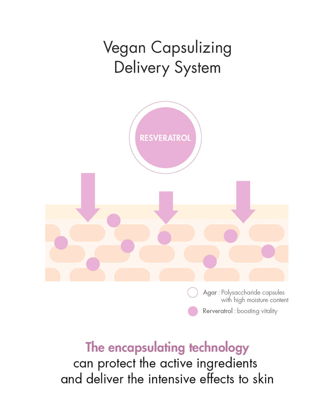 Ohlolly K-Beauty Skincare_Dr Ceuracle_Vegan Active Berry Lifting Cream