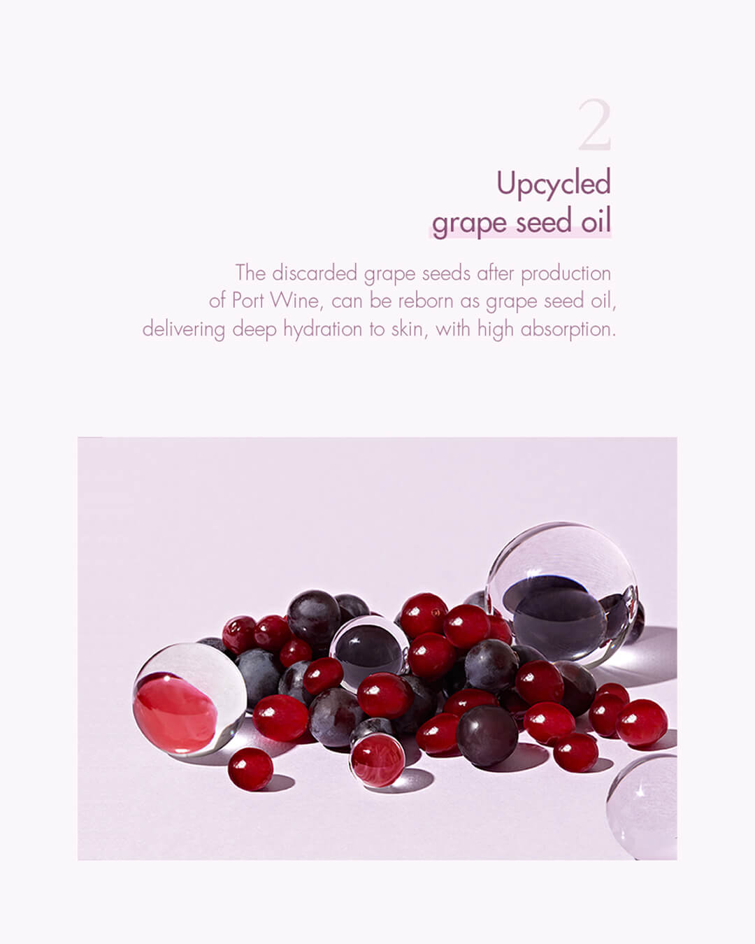 Ohlolly K-Beauty Skincare_Dr Ceuracle_Vegan Active Berry First Essence