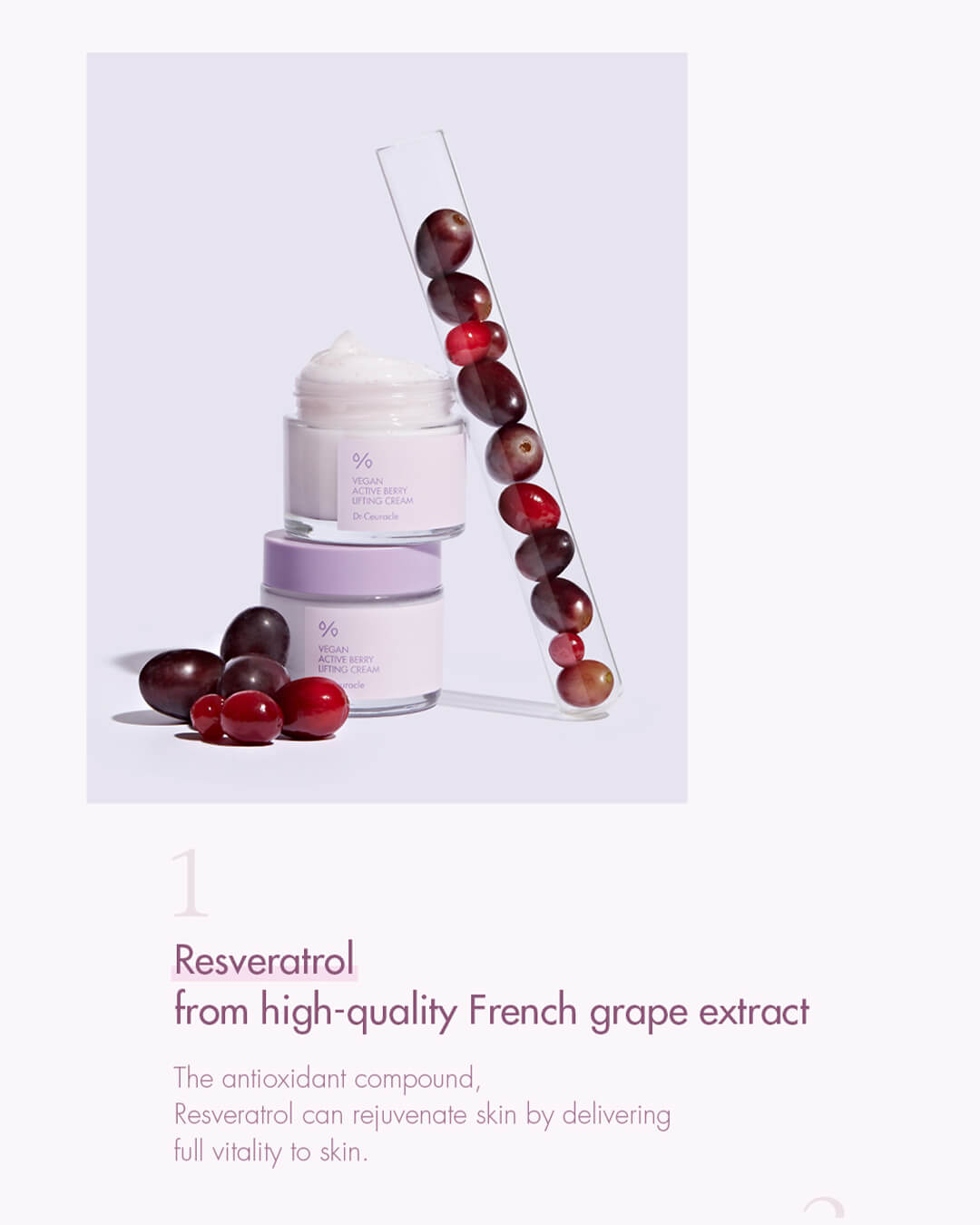 Ohlolly K-Beauty Skincare_Dr Ceuracle_Vegan Active Berry Lifting Cream
