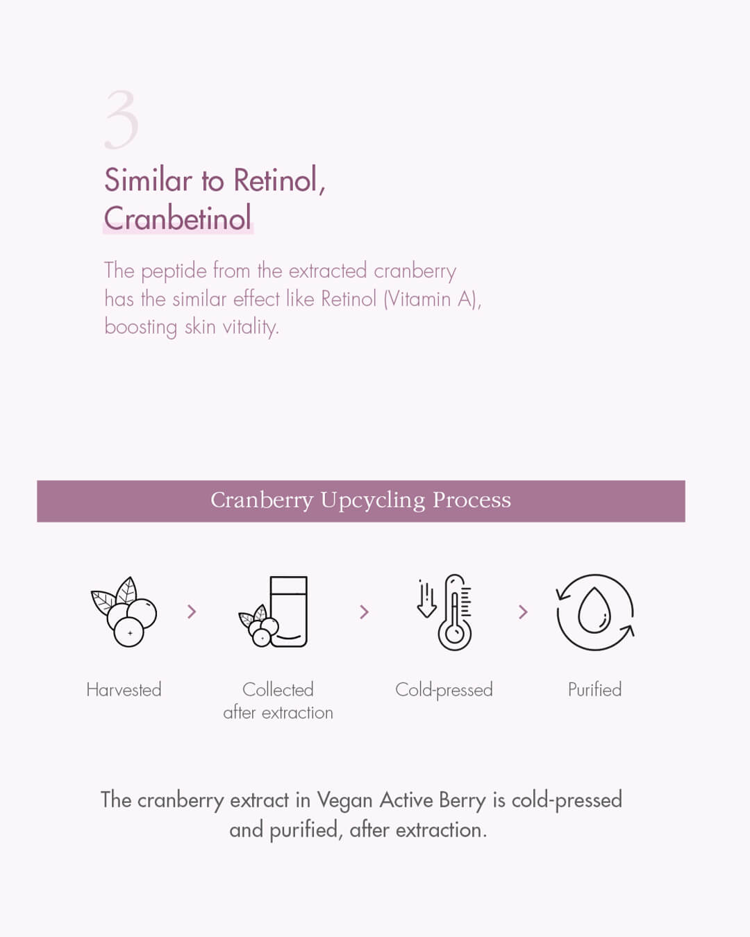 Ohlolly K-Beauty Skincare_Dr Ceuracle_Vegan Active Berry Lifting Cream