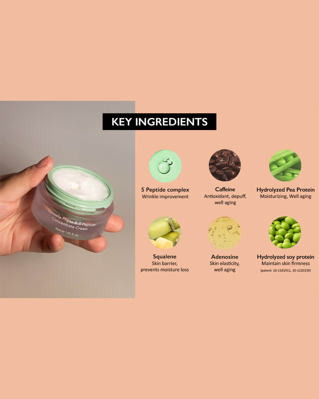Ohlolly K-Beauty Skincare Centella Phyto & 5 Peptide Concentrate Cream