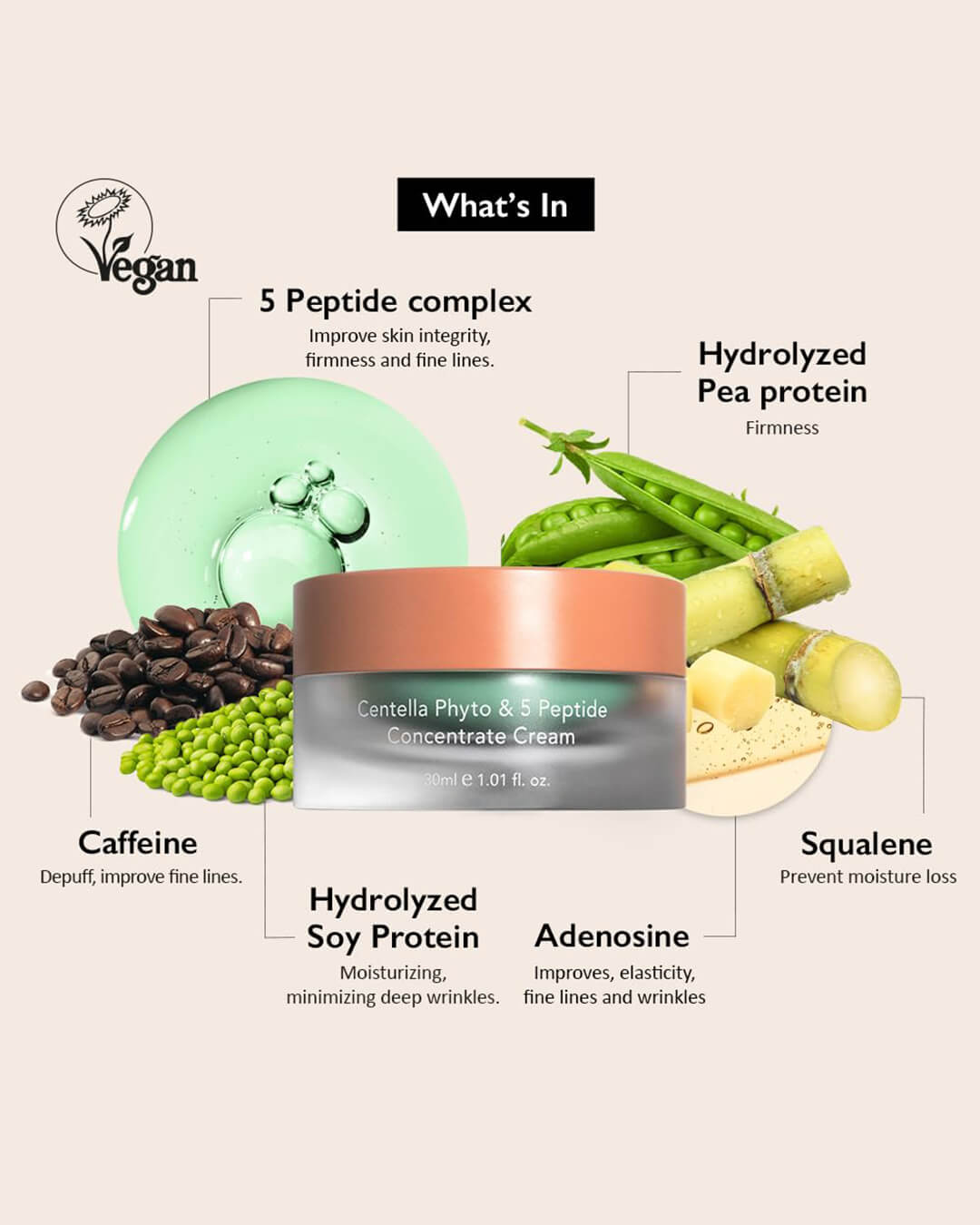 Ohlolly K-Beauty Skincare Centella Phyto & 5 Peptide Concentrate Cream