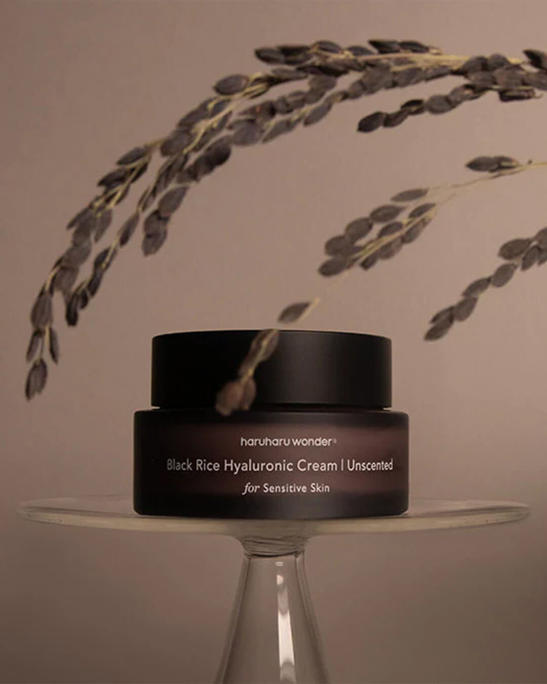 Ohlolly K-Beauty Black Rice 10 Hyaluronic Cream