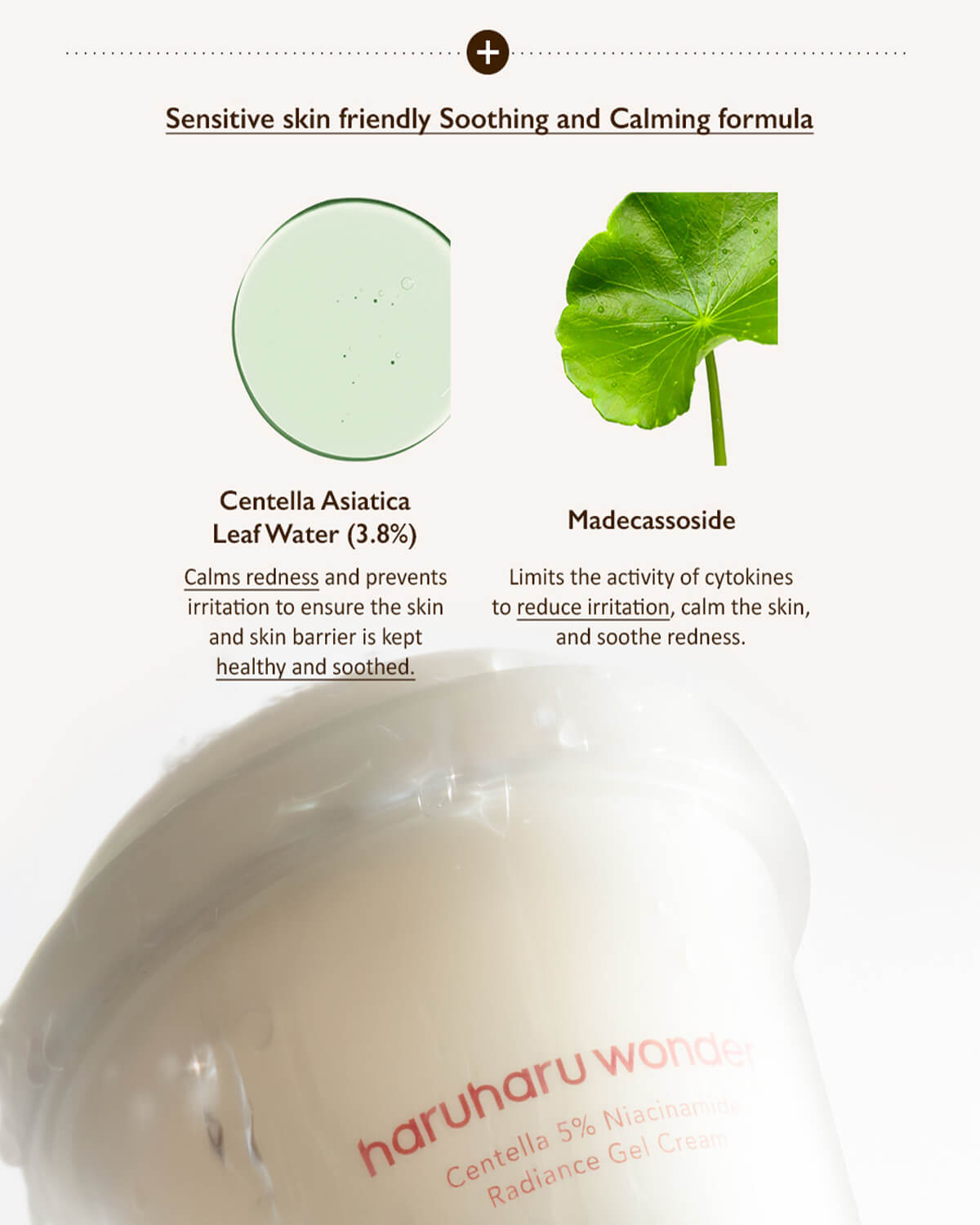 Ohlolly K-Beauty Skincare Haruharu Wonder Centella 5% Niacinamide Radiance Gel Cream