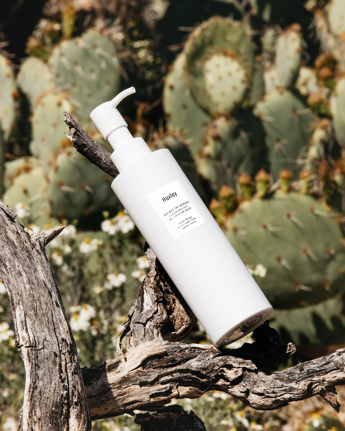 Huxley Be Clean, Be Moist Cleansing Gel_Low pH, Balancing, Foaming Cleanser