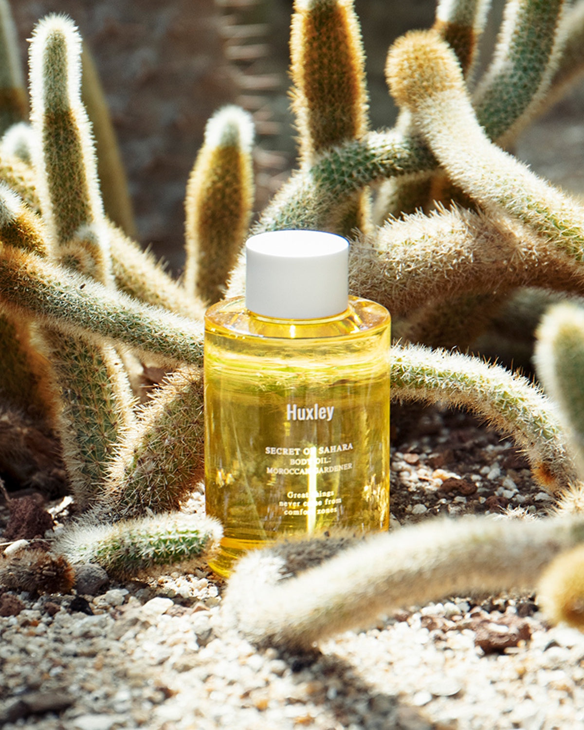 Huxley Moroccan Gardener Body Oil_Luxurious Oil Blend for Your Body