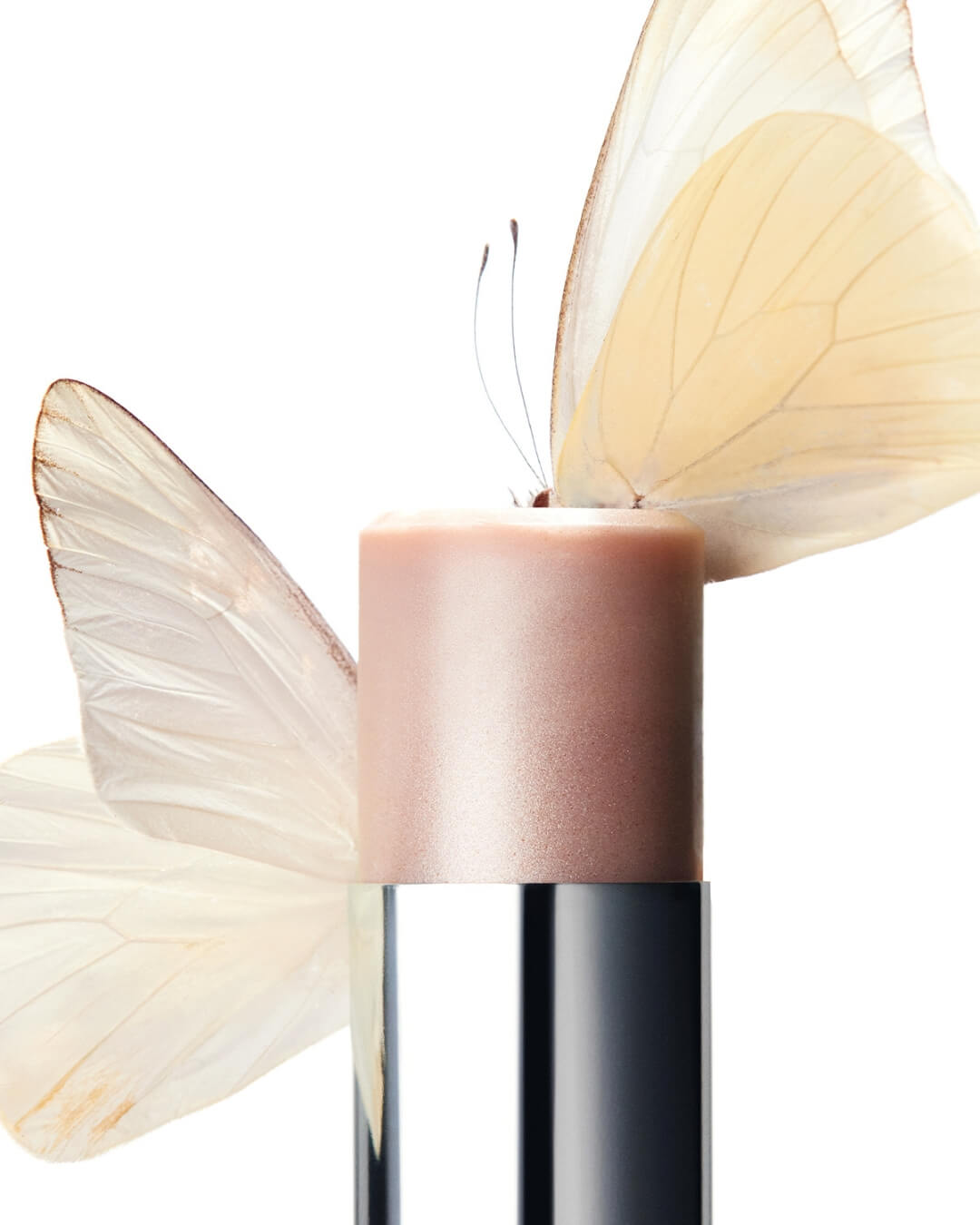 Two white butterflies landing on the shimmery pink tip of the open cream highlighter stick.