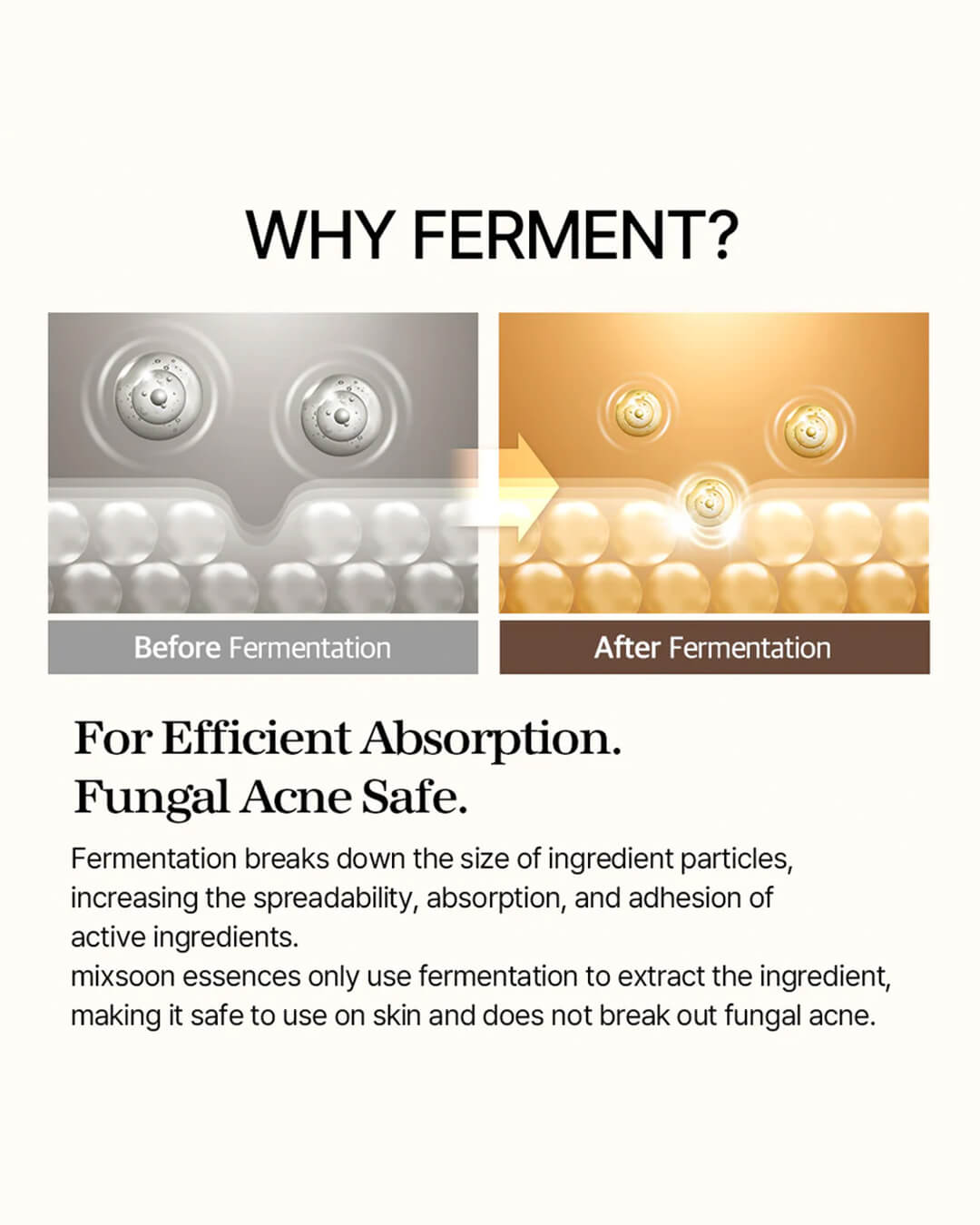 An informational graphic for the Mixsoon Bean Essence titled 'WHY FERMENT?'. It includes split images showing ingredient particles 'Before Fermentation' (large and raw) and 'After Fermentation' (small and absorbed into a gold liquid), with text explaining that fermentation ensures 'Efficient Absorption' and makes the product 'Fungal Acne Safe' by breaking down ingredients.
