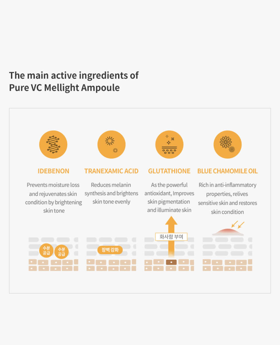 Ohlolly Korean Skincare Dr Ceuracle Pure VC Mellight Ampoule Special Set 4-pk
