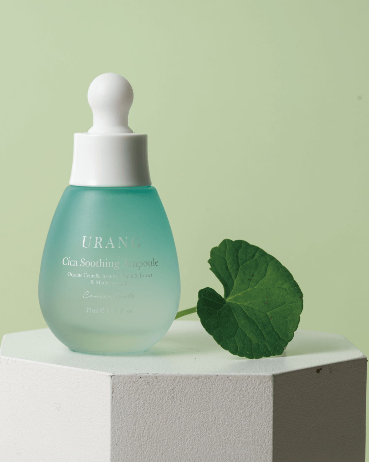 Urang Cica Soothing Ampoule bottle next to an organic Centella Asiatica leaf, symbolizing the formula's soothing and repairing benefits for sensitive skin.