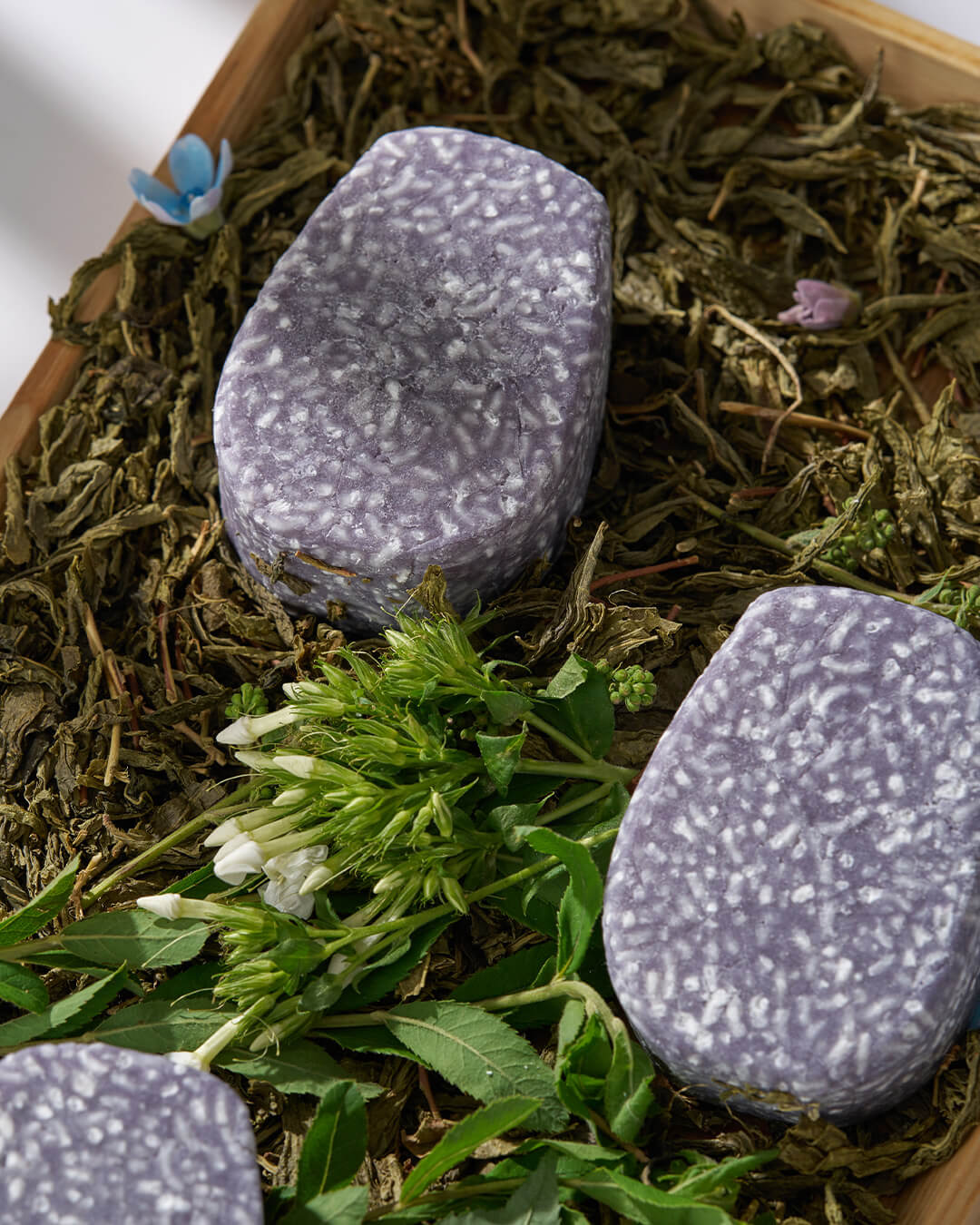 Two Urang Daily Oil Control Shampoo Bars resting on dried green tea leaves in a wooden box, highlighting the natural, herbaceous formula that balances the oily scalp.