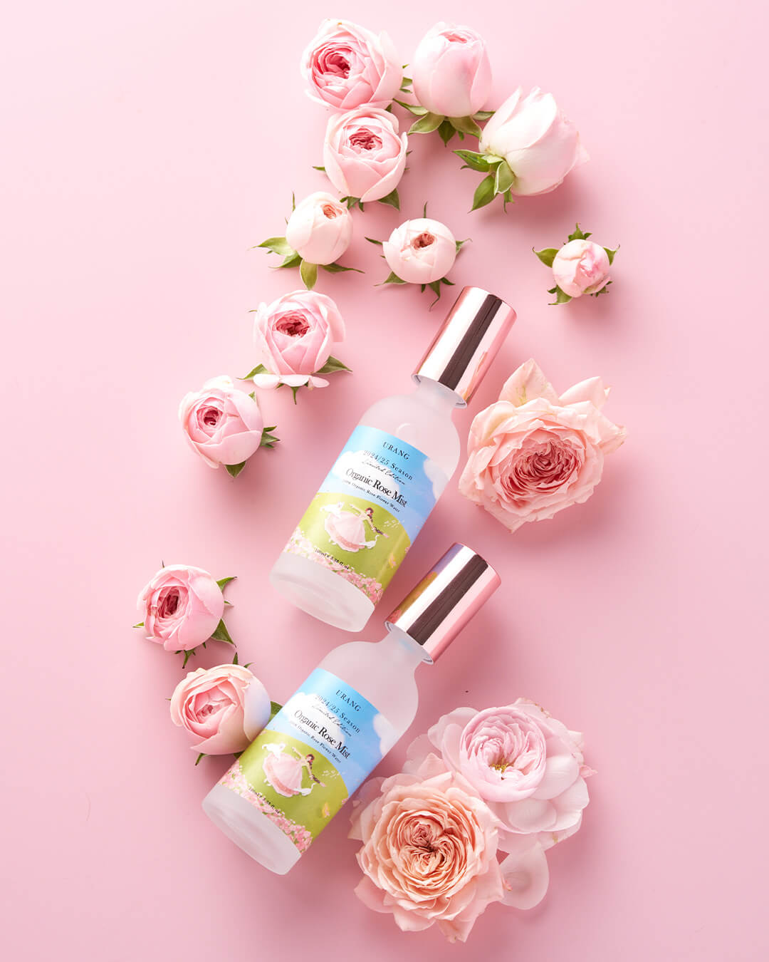 Two bottles of Urang Organic Rose Mist 2024/25 version laid on pink background with roses
