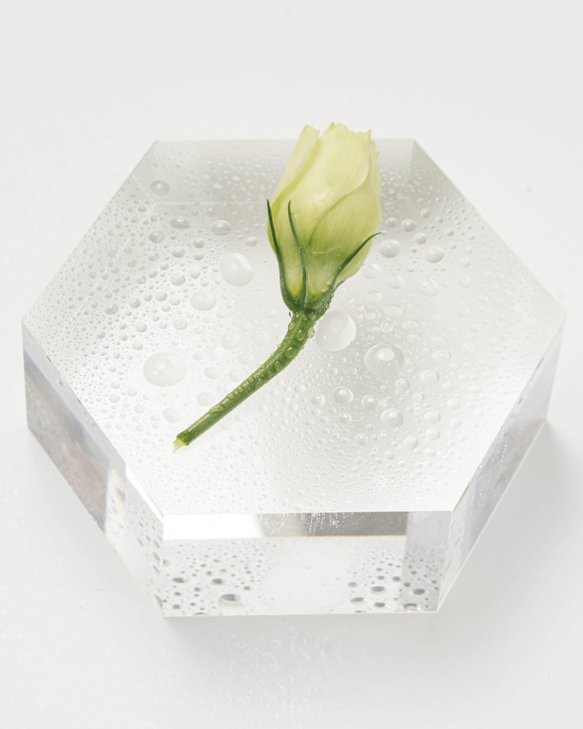 A single, pale green-yellow neroli flower bud with water droplets, resting on a clear, hexagonal acrylic block.