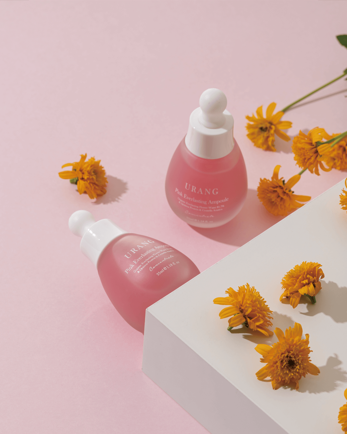 Two frosted pink Urang Pink Everlasting Ampoule dropper bottles displayed on a light pink surface next to scattered dried yellow and orange Everlasting flowers.