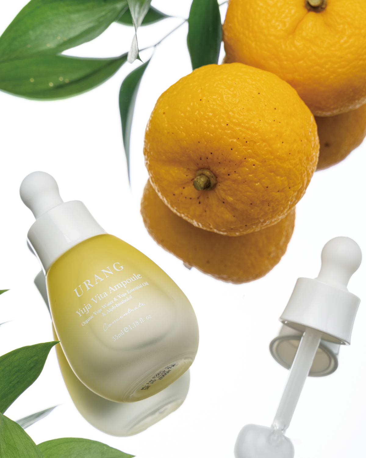 Close-up of the Urang Yuja Vita Ampoule frosted bottle with its dropper, displayed on a reflective white surface next to two whole Yuja fruits and green leaves, emphasizing the yellow-citrus ingredients.