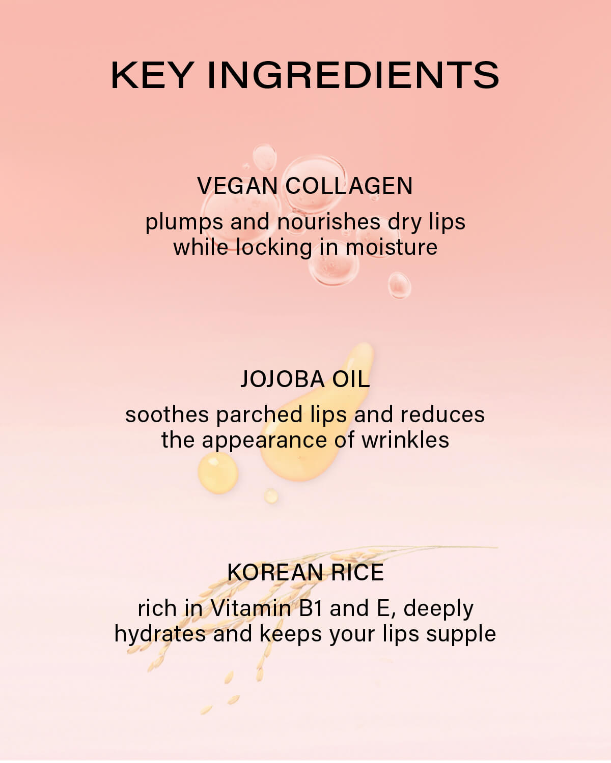 Melixir Vegan Lip Treatment_Plumping Lip Treatment with Vegan Collagen and Korean Rice