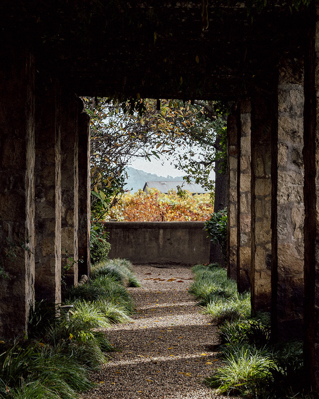 Ohlolly Korean Skincare Vinoir Decanting Hand Cream | Il Labirinto. Scented moisturizer for dry hands. Inspiration location. Italy.