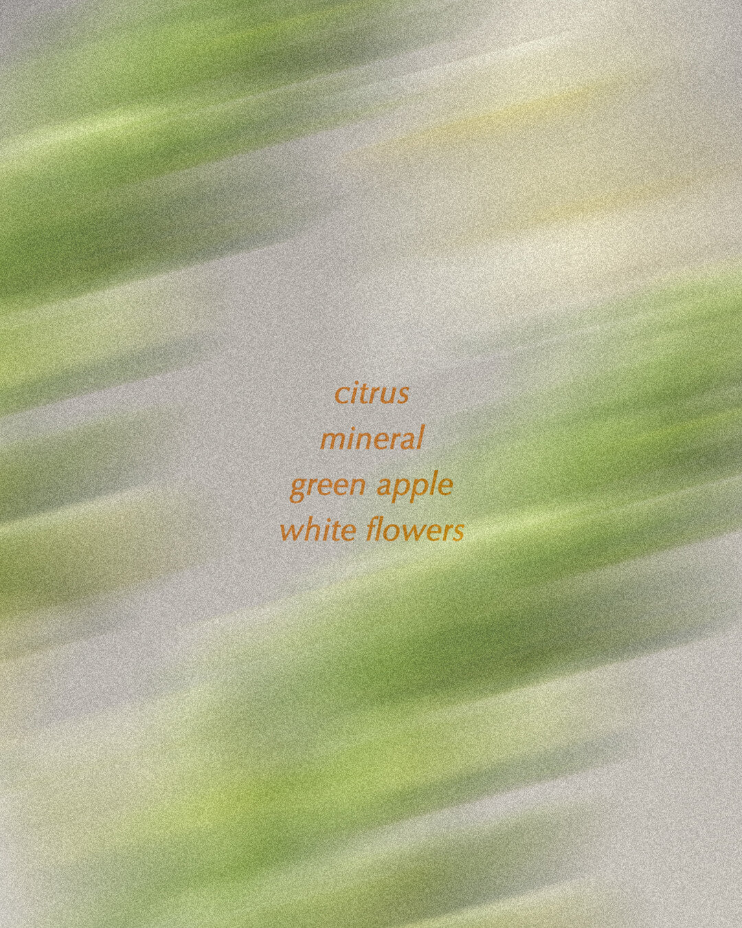 Ohlolly Korean Skincare Vinoir Decanting Shampoo Bar | Le Pique-Nique. Fragrance profiles over green background. Citrus, green apple, white flowers.