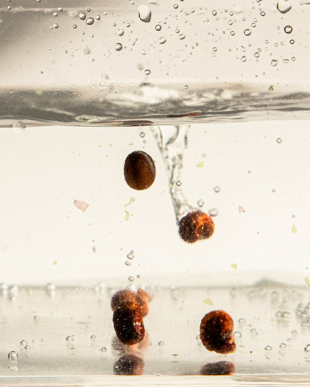 WYLYS Liquid V-Lift Key ingredient baobab seeds in water. Benefits include hydrating, and strengthening weak barrier.