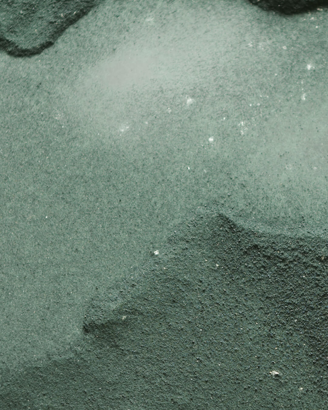 WYLYS Nightinol Cream 2% Triple Retinol Complex Night Repair Cream Rich Cream for Anti-aging, Redness reduction, Plump, Brighter Skin, WYLYS Nightinol Cream – Key ingredient algae peptides close up, proprietary method. Made in France.