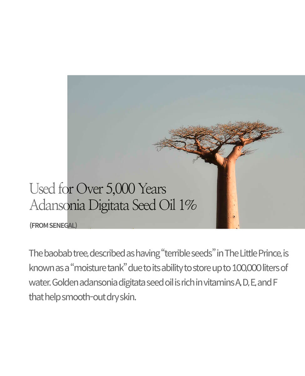 Sioris Enriched by Nature Cream Korean skincare with sustainable packaging