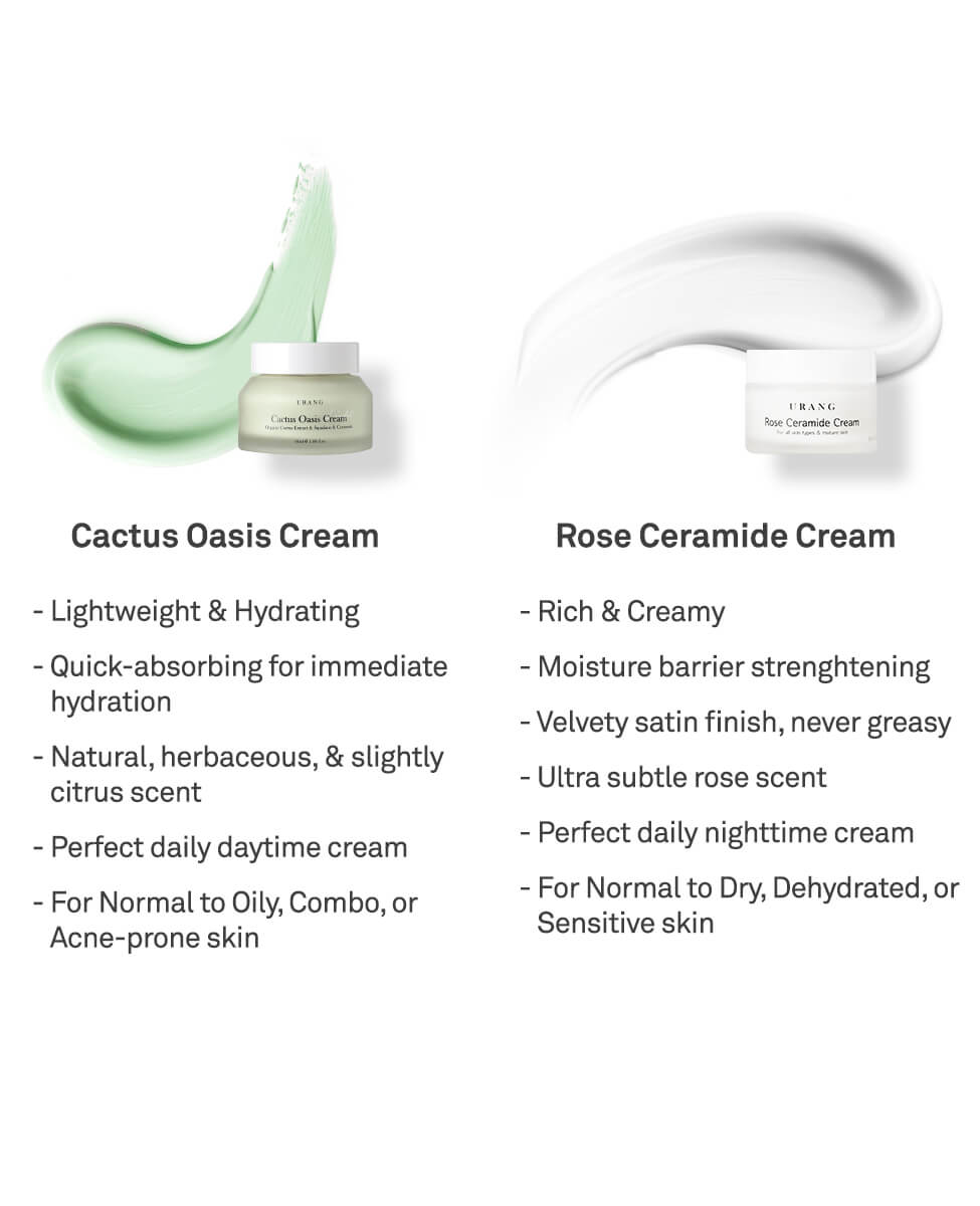 Comparison graphic of Urang Cactus Oasis Cream (described as lightweight, quick-absorbing, natural herbaceous scent, and perfect for daytime, normal to oily, combo, or acne-prone skin) versus Urang Rose Ceramide Cream (described as rich, creamy, moisture barrier strengthening, velvety satin finish, subtle rose scent, and perfect for nighttime, normal to dry, dehydrated, or sensitive skin).