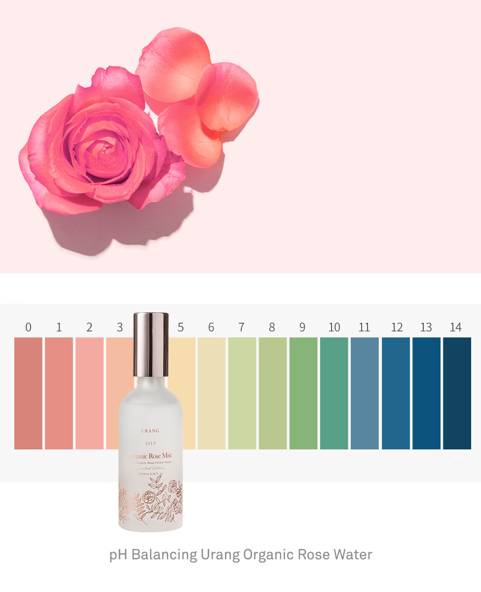 Ohlolly K-Beauty Skincare Urang Organic Rose Mist