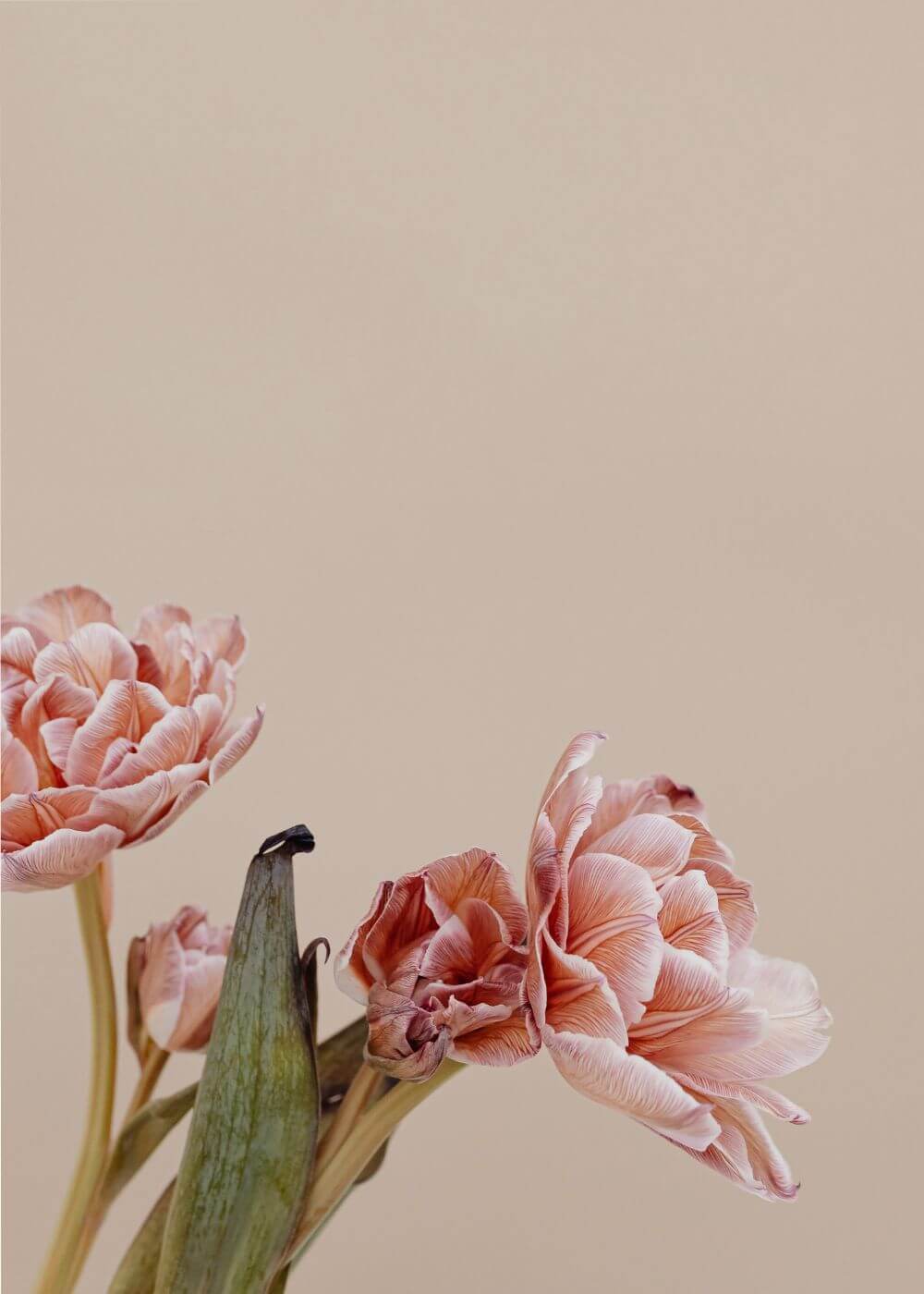split_image.alt | escape