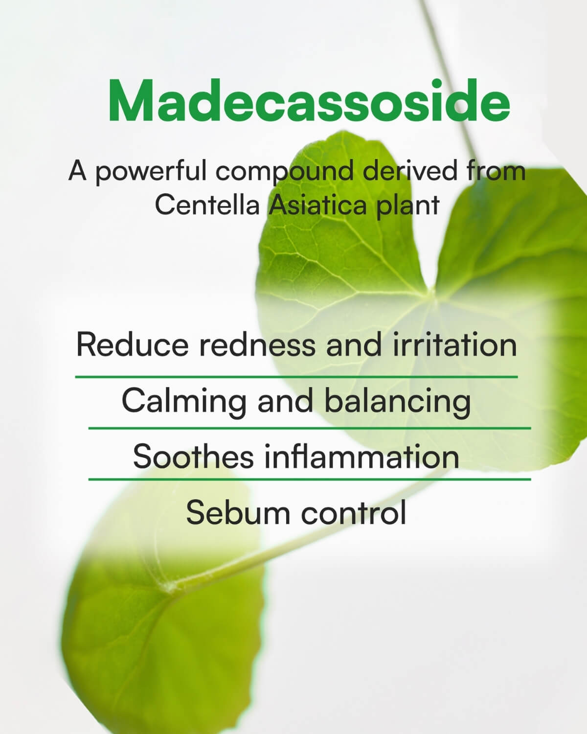 Benefits of Madecassoside for skin: reducing redness, soothing inflammation, and sebum control.