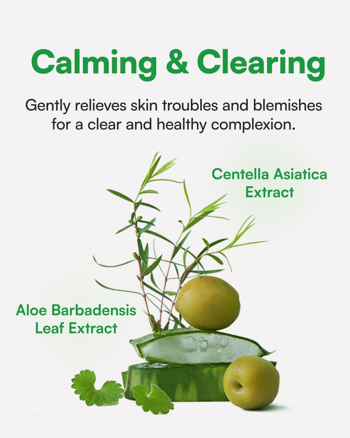 Calming and clearing infographic featuring Centella Asiatica and Aloe Barbadensis leaf extracts.