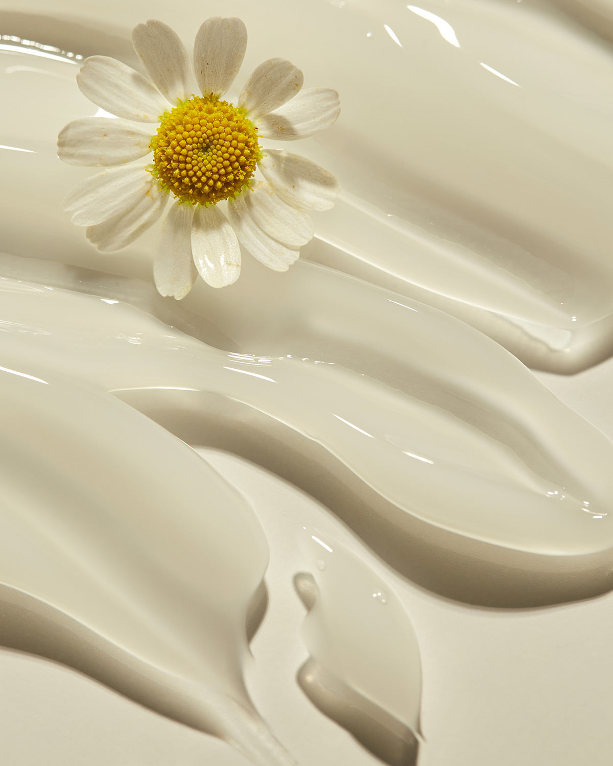 Hyggee Relief Chamomile Cream_Soothing and Hydrating Chamomile Gel Cream