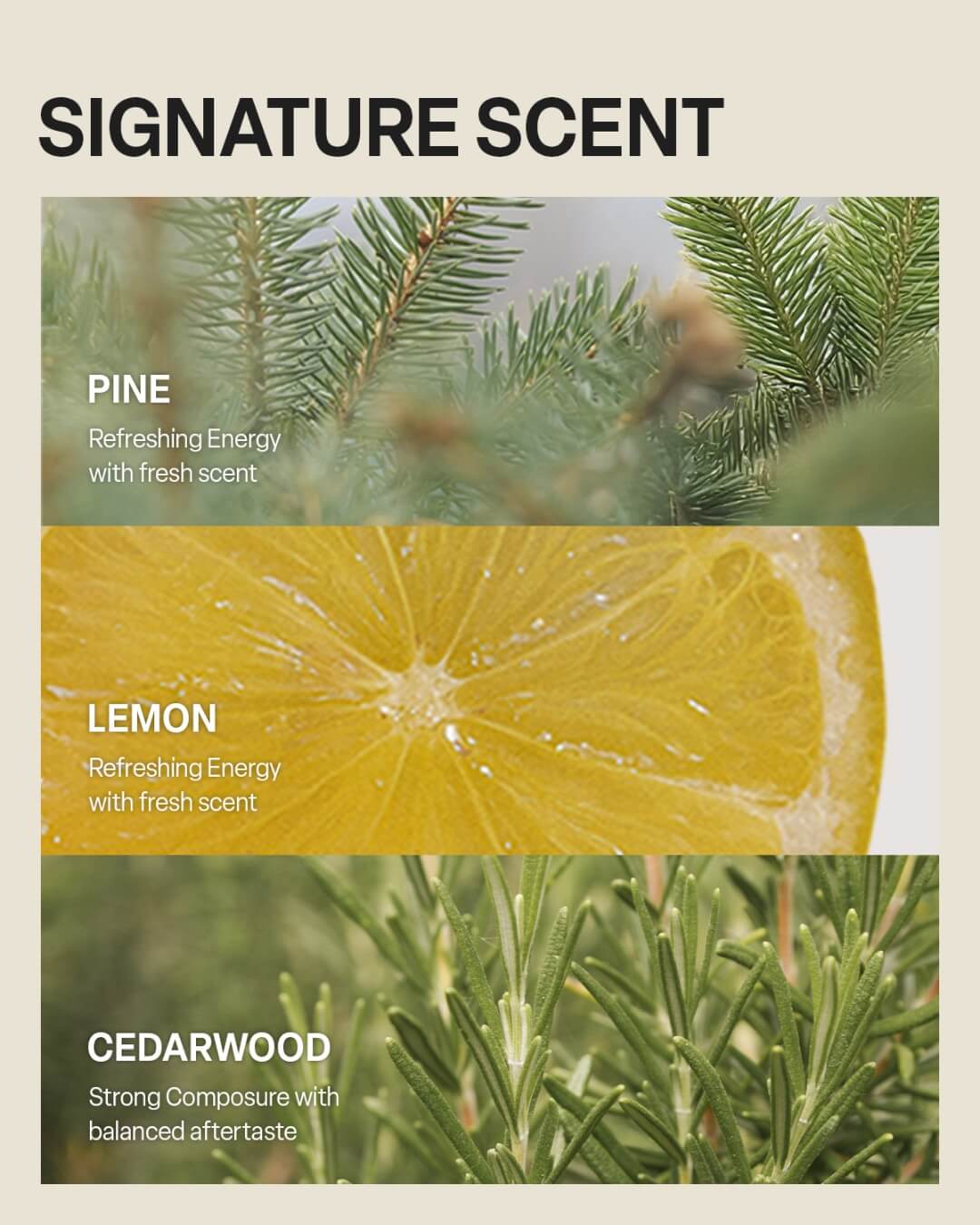 Signature natural scent profile of Koy Solid Volume Ampoule Mask including pine, lemon, and cedarwood.