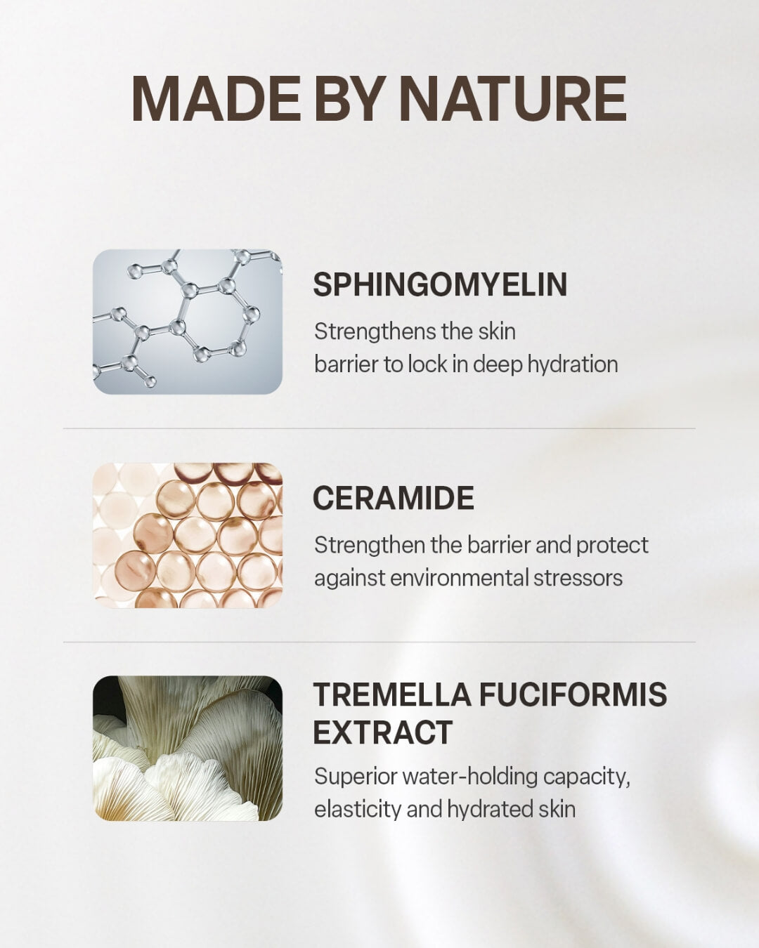 Graphic displaying skincare ingredients including sphingomyelin, ceramide, and tremella fuciformis extract.