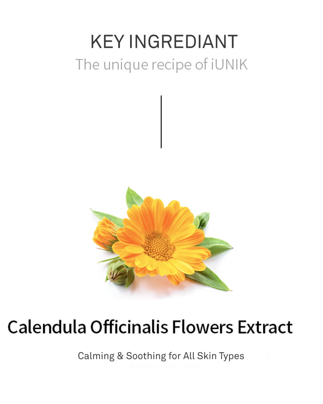 iUnik Calendula Complete Cleansing Oil Ohlolly Korean Skincare First Cleanser